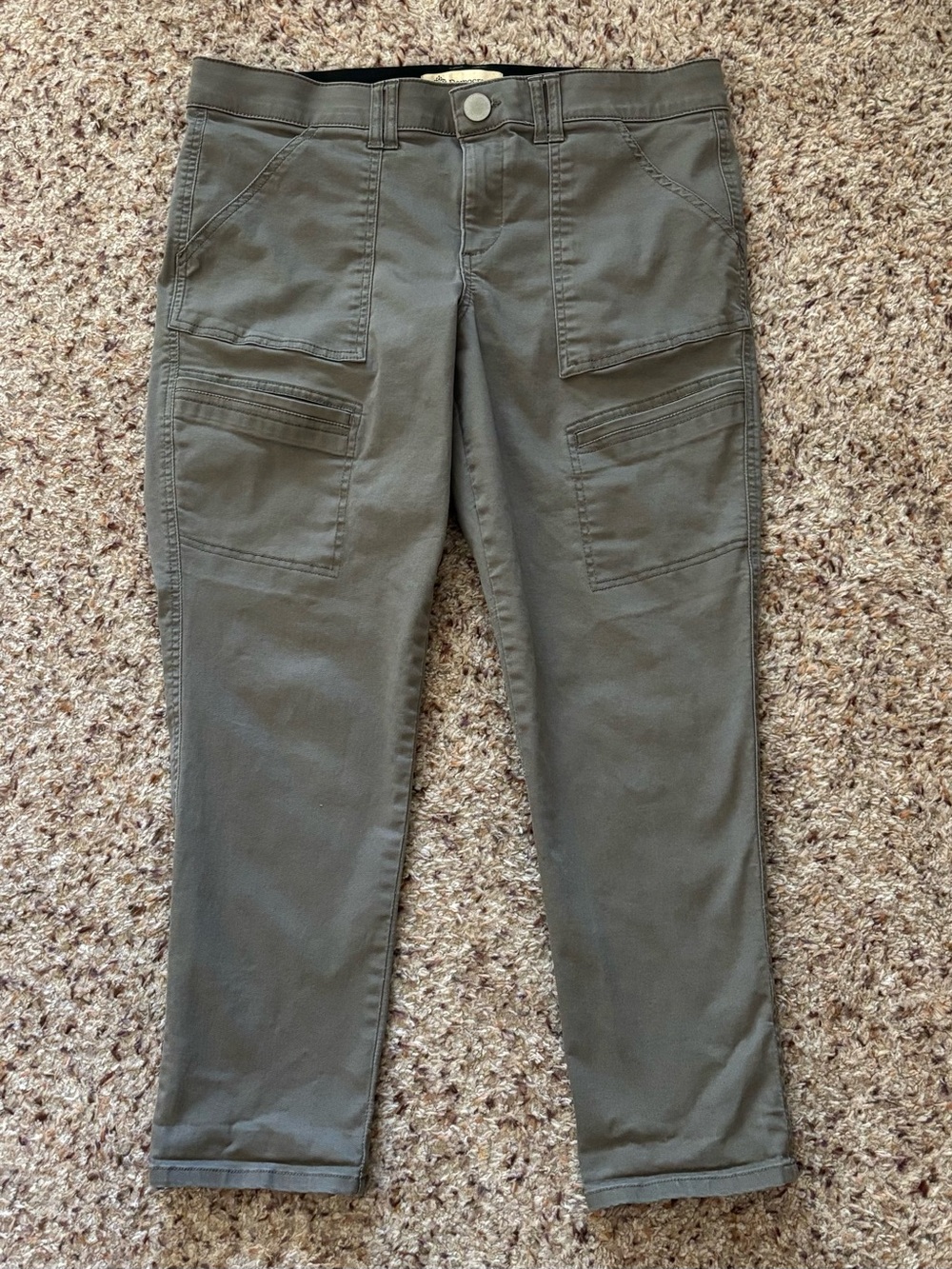 Democracy Ab Technology Cargo Ankle Pants
